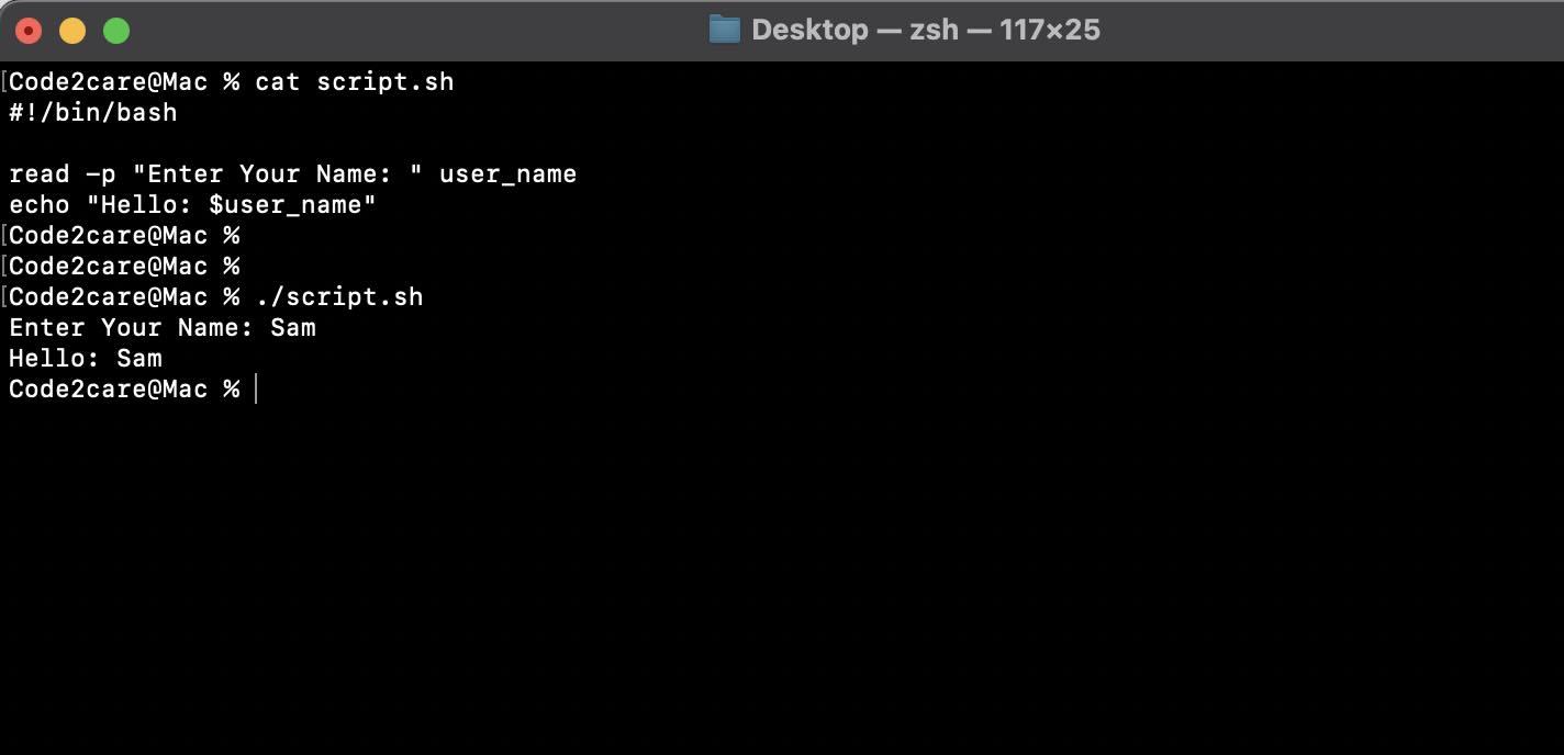 Bash Script wait for user Input Command Example